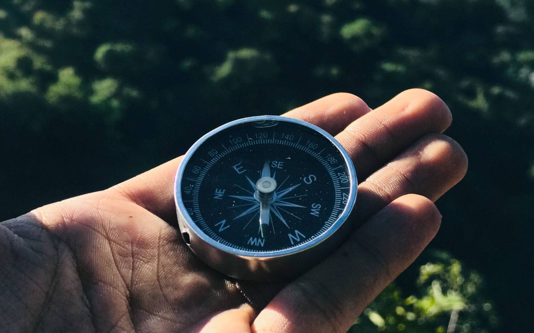 Hand holding compass over forest